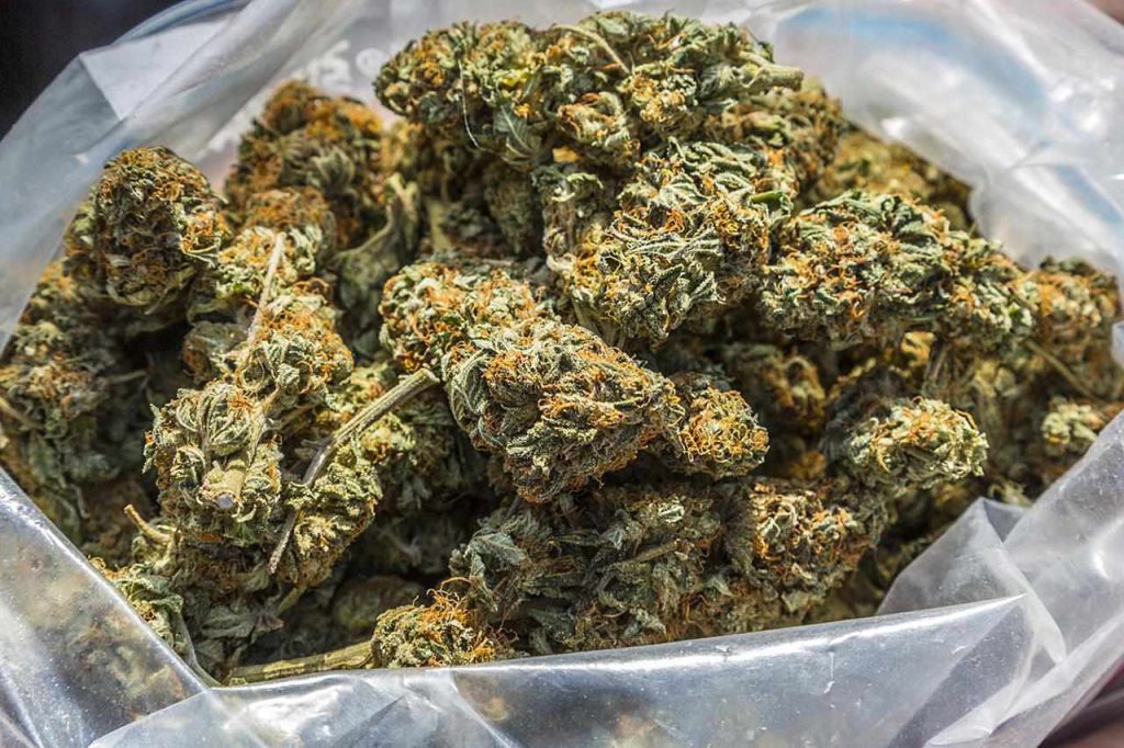 The Different Kinds of Weed You Can Buy Online in Canada