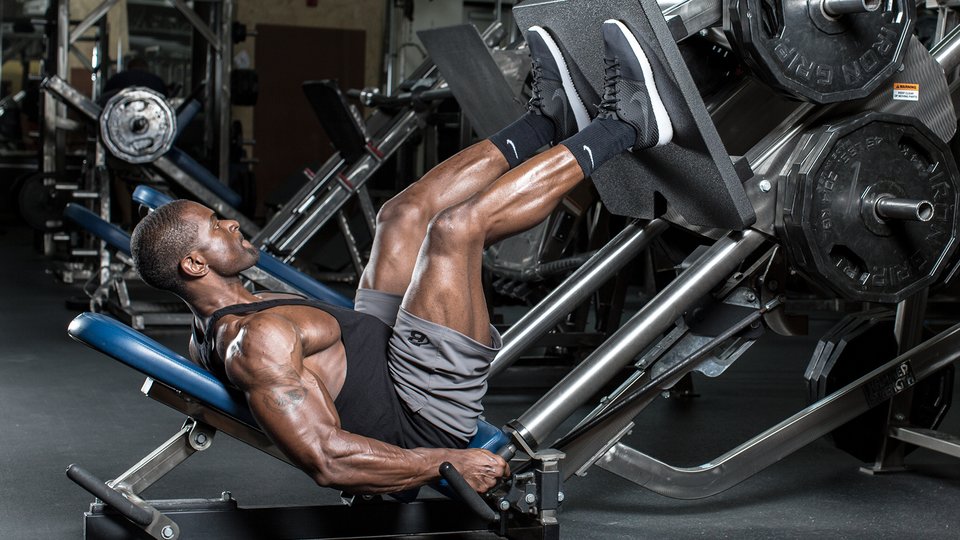 The Role of Thermogenesis in Weight Loss: Myth or Reality? The Role of Thermogenesis in Weight Loss: Myth or Reality?
